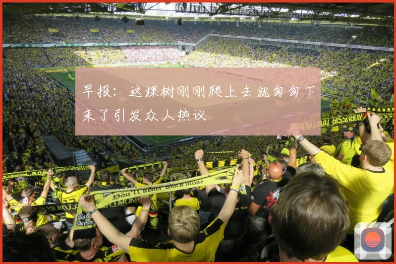 早报：这棵树刚刚爬上去就匆匆下来了引发众人热议