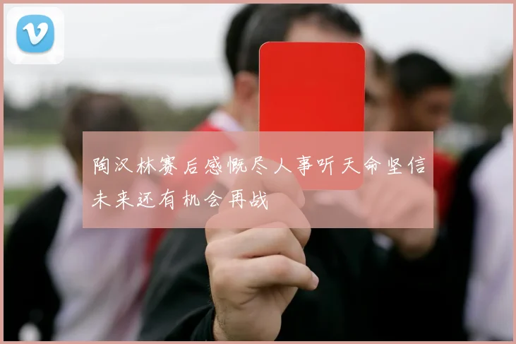 陶汉林赛后感慨尽人事听天命坚信未来还有机会再战